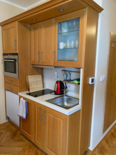 Kuchyň nebo kuchyňský kout v ubytování Aparthouse Javor