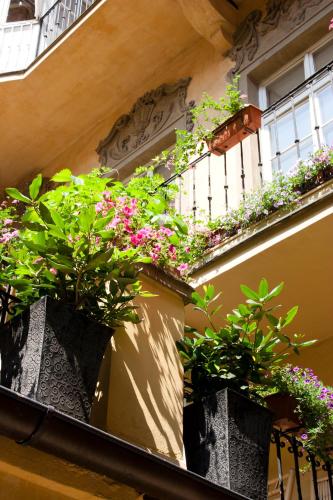 a balcony with potted plants on a building at Hotel U Zlateho jelena in Prague