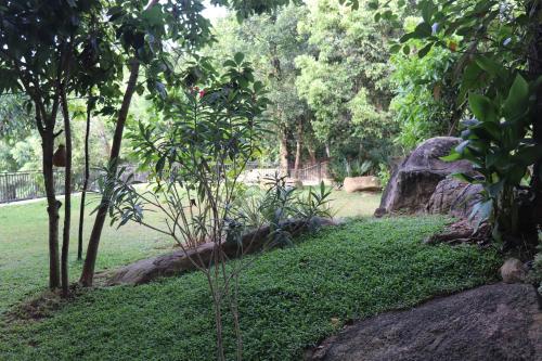 a garden with rocks and trees in a park at Hotel Paradiso, in Unawatuna