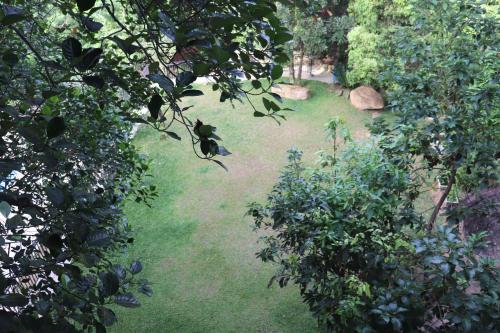 an overhead view of a garden with grass and trees at Hotel Paradiso, in Unawatuna