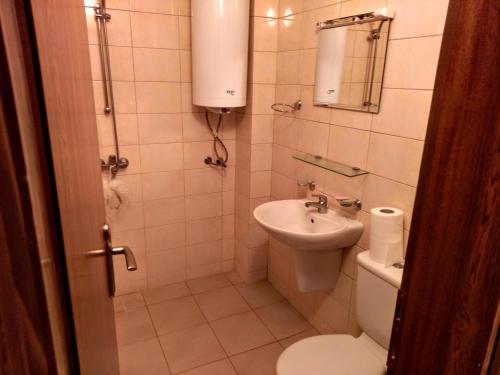 a small bathroom with a toilet and a sink at Private Apartments Nevena in Pamporovo