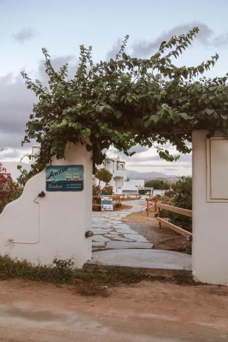 a tree growing on the side of a building at Annio studios in Plaka