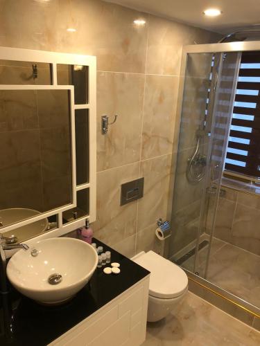 a bathroom with a toilet and a sink and a shower at Burj Al Istanbul in Istanbul