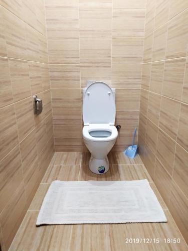 a bathroom with a toilet with a rug on the floor at Новая двухкомнатная квартира в центре Воронежа. in Voronezh