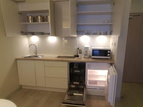 eine kleine Küche mit einer Spüle und einer Mikrowelle in der Unterkunft Atrakcyjny Apartament Czarna Góra in Stronie Śląskie