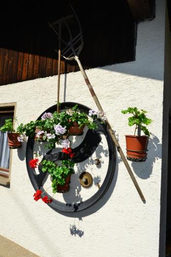 a window with potted plants on the side of a building at Haus Brandner in Tröpolach
