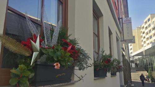 a window with potted plants on the side of a building at Boutique-Hotel Kronenstuben in Ludwigsburg