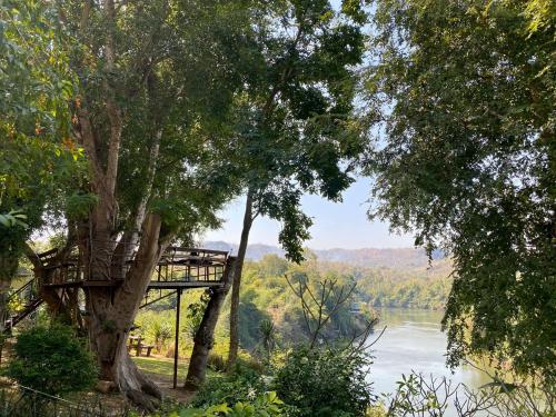 a tree house on the side of a river at Kwainoy Riverpark in Sai Yok