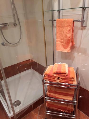 a bathroom with a shower and a rack with towels at Haus Oberwiesenthal in Kurort Oberwiesenthal
