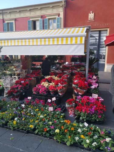 un marché aux fleurs avec un bouquet de fleurs dans l'établissement Appartement Vieux-Nice N, à Nice