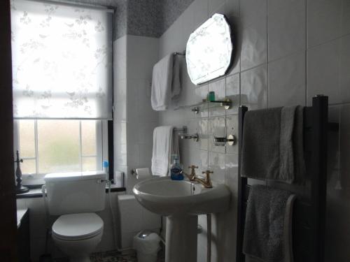 a bathroom with a white toilet and a sink at Llanwrtyd Hall B&B Angelis Holistic Retreat in Llanwrtyd Wells