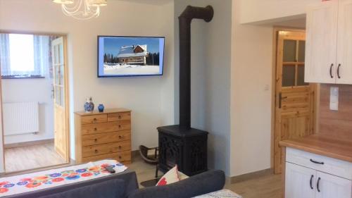 TV/trung tâm giải trí tại Apartament z kominkiem i wanną
