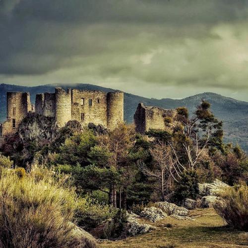 a castle on top of a hill with trees at La Bergerie du Haut Var in Bargème