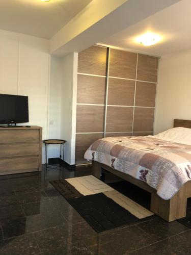 1 dormitorio con 1 cama y TV de pantalla plana en Studio, en Bucarest