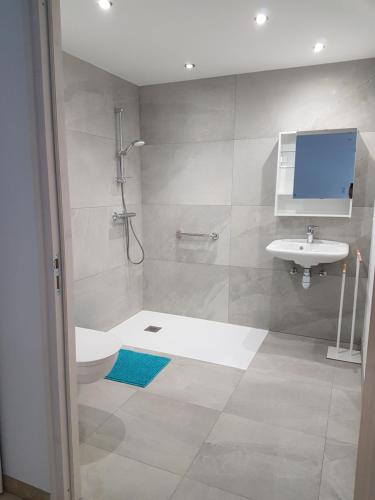 y baño con ducha, aseo y lavamanos. en appart Hérisson RDC accessible PMR, en Cornimont