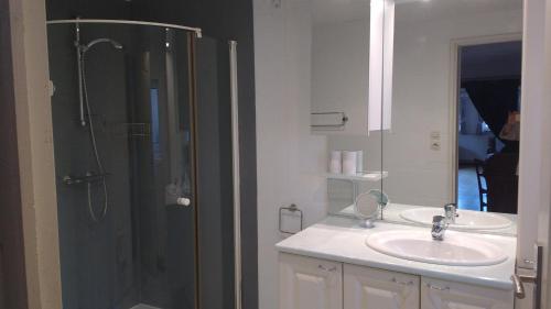 een badkamer met een wastafel en een douche bij Chambres d'hôtes Sabine Billmann in Hunspach