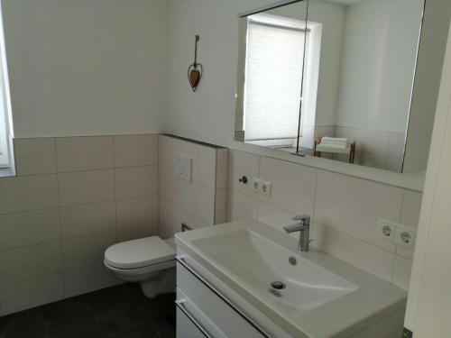 a bathroom with a sink and a toilet and a mirror at Apartment Peotta in Volders