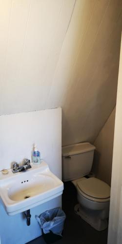Yellow Dog Lodge, Inc. – Photos 2