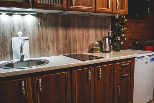 uma cozinha com um lavatório e uma bancada em Lucky home em Catez ob Savi