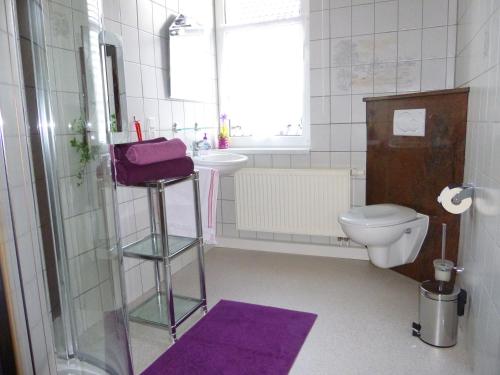 y baño con aseo y lavabo con toalla morada. en Haus Pia, en Oberhof