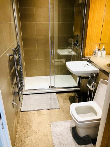 a bathroom with a shower and a toilet and a sink at Luxury Lodge Excel London in Moffat