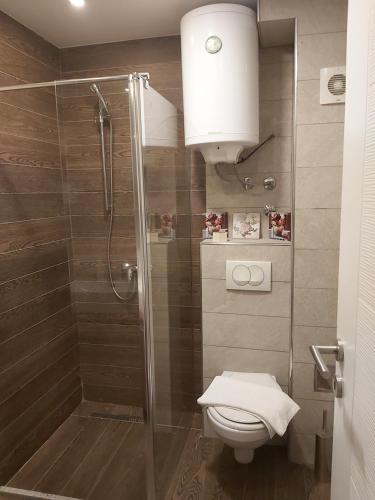 a bathroom with a shower and a toilet and a sink at AMI apartman Kopaonik in Kopaonik