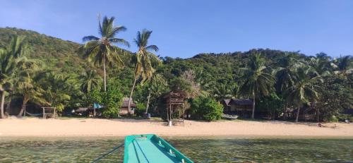 a boat in the water near a beach with palm trees at Seafront Cottage Ocam Ocam Beach in Busuanga
