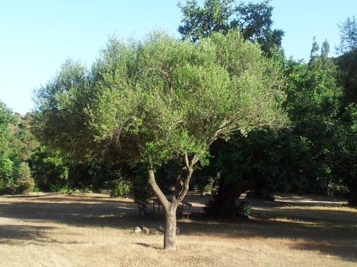 Gallery image of La Casa di Sara in Pula