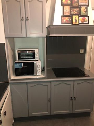 Il comprend une cuisine équipée d'un four micro-ondes et d'un grille-pain. dans l'établissement APPART PORT DU CANAL, à Dijon