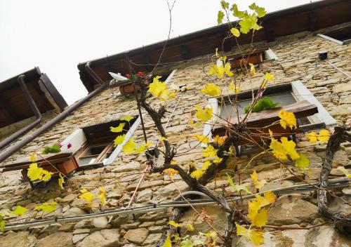 Il Cappellaio Matto – Photos 2