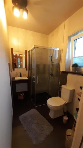 La salle de bains est pourvue d'une douche, de toilettes et d'un lavabo. dans l'établissement Domek na Przylasku, à Grywałd