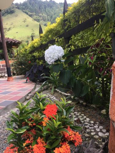 a garden with colorful flowers and a fence at Casa Hotel Portón Campestre in Jardin