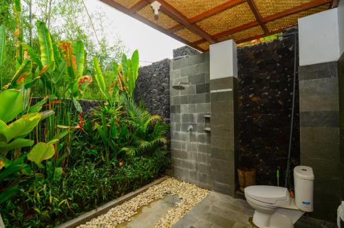 Gallery image of Bintang House in Kintamani