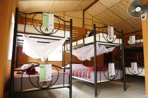 Eco-Logic, Resort for Charity tesisinde bir ranza yatağı veya ranza yatakları