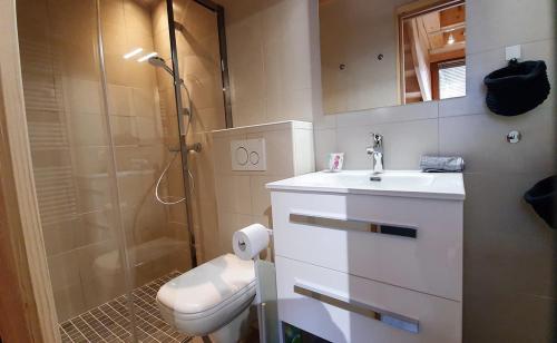 a bathroom with a shower and a toilet and a sink at Le camp de base in Chamonix