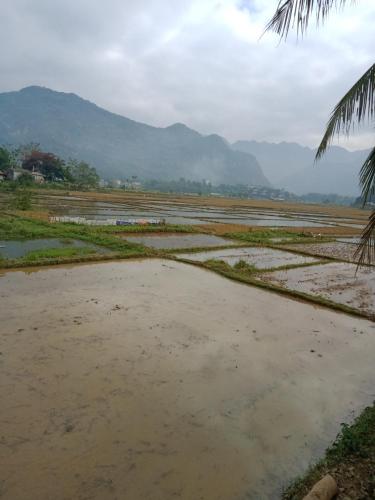 Landskap semula jadi dekat dengan homestay