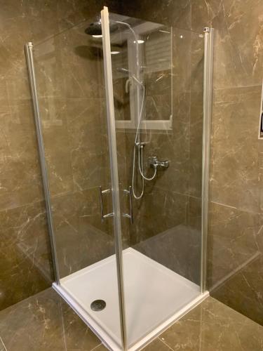 W łazience znajduje się prysznic ze szklanymi drzwiami. w obiekcie GREEN APARTMENT BY ALEX RAFAEL w Zagrzebiu