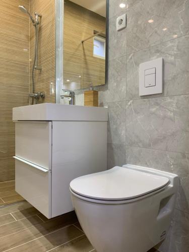 een badkamer met een wit toilet en een spiegel bij BLACK APARTMENT by ALEX RAFAEL in Zagreb