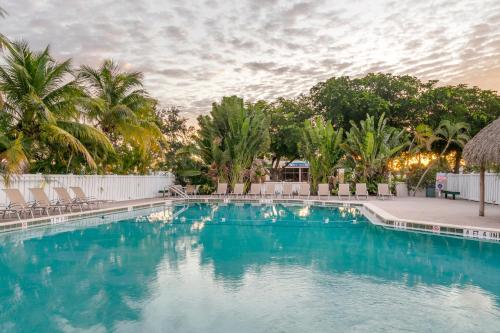 uma piscina com cadeiras e palmeiras em Holiday Inn Express Cape Coral-Fort Myers Area, an IHG Hotel em Cape Coral