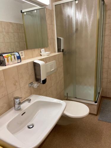 a bathroom with a sink and a shower and a toilet at Gasthaus Edelweiss in Langwies
