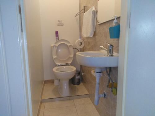 a bathroom with a toilet and a sink at Fisher 46 in Lisbon