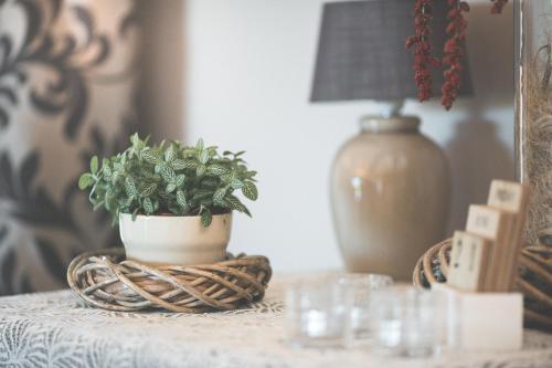 a table with a potted plant on top of it at B&B Nieuwhof in Gistel
