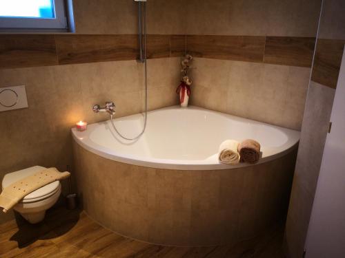 uma banheira na casa de banho com WC em Rheintal Zentrum em Altach