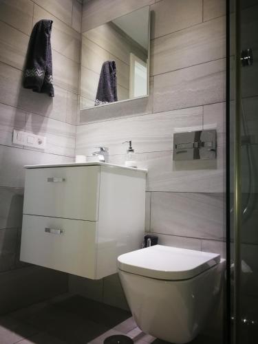 a bathroom with a toilet and a sink and a mirror at Cozy Luxury in San Bartolomé