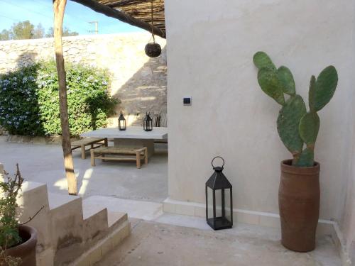 a patio with a table and a potted plant at Dar Alya Essaouira Maison et table d'hôtes in Ghazoua