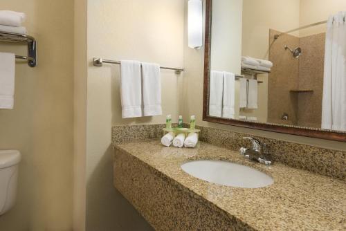 Bathroom sa Holiday Inn Express Hotel & Suites New Iberia - Avery Island, an IHG Hotel