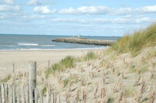 a sandy beach with a wooden fence and a lighthouse at B&B Beach Inn in Scheveningen