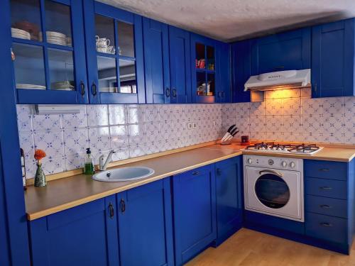 cocina azul con fregadero y lavadora en Kranjska Gora Family Break en Kranjska Gora