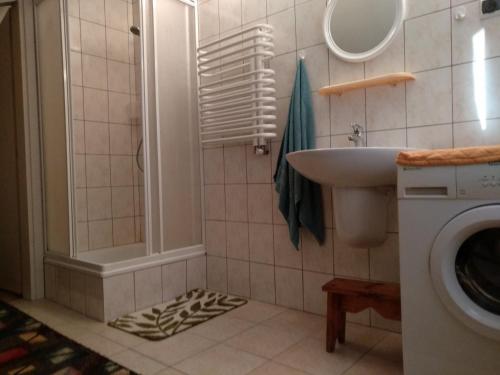 a bathroom with a shower and a sink and a washing machine at podkornutami in Sękowa