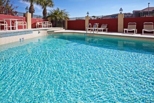 a large swimming pool in a hotel room at Holiday Inn Express Hotel & Suites Tampa-Oldsmar, an IHG Hotel in Oldsmar